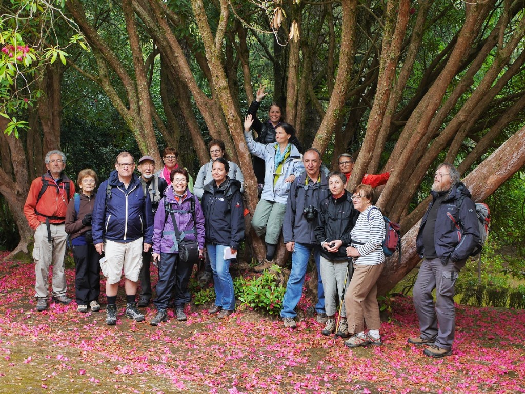 Le groupe de la régionale de Montpellier en excursion botanique à Madère.